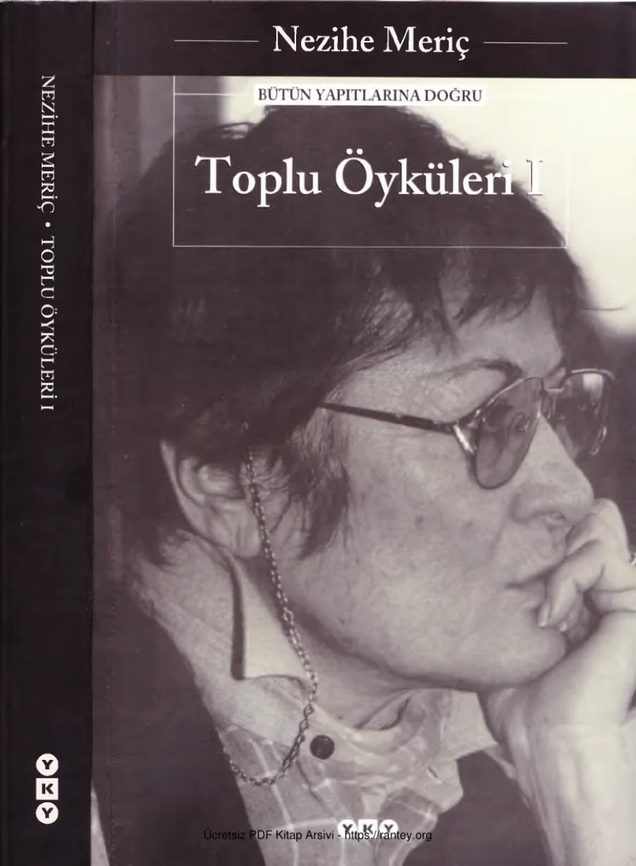 Toplu Öyküleri Cilt I kapak görseli