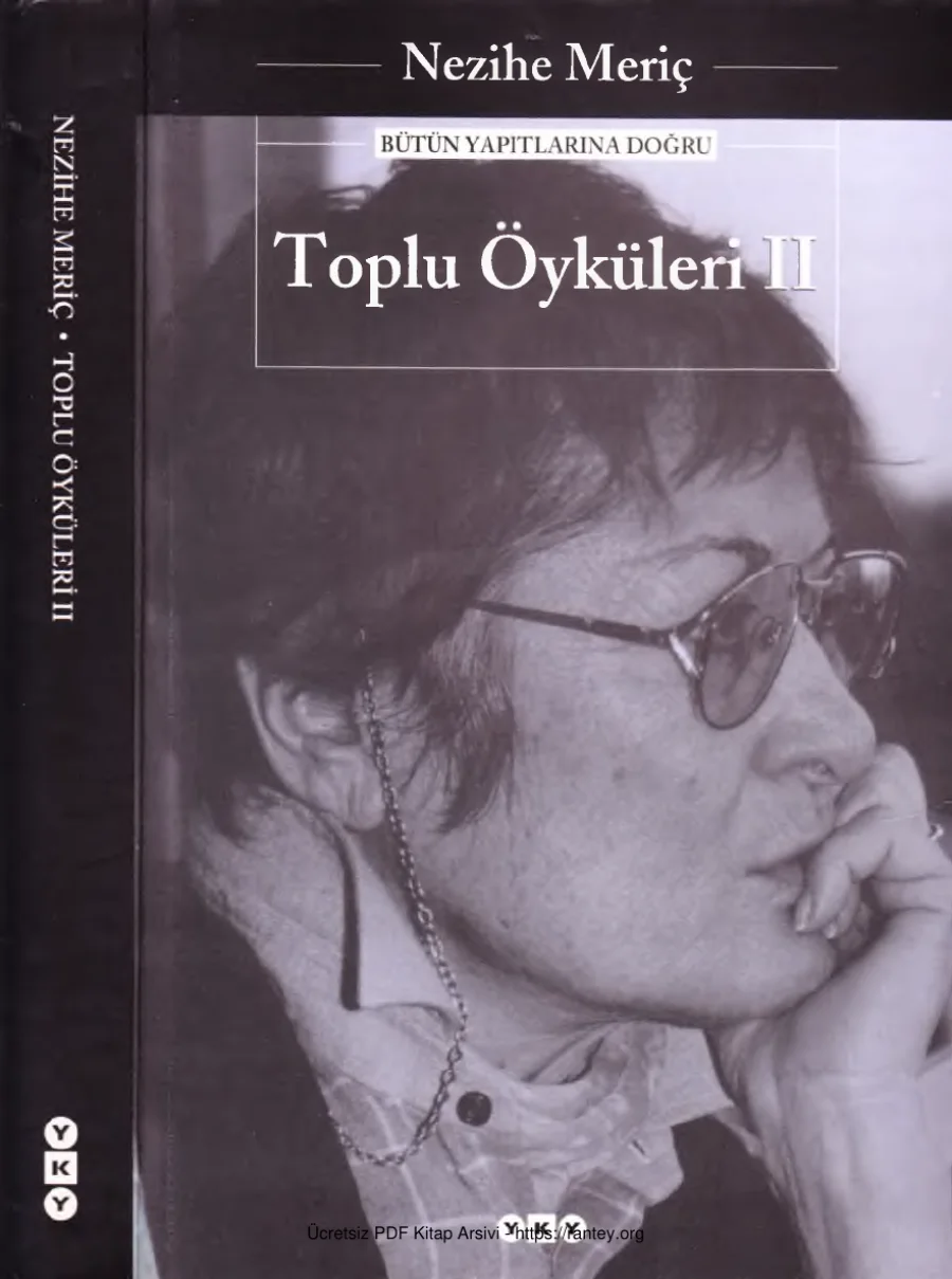 Toplu Öyküleri Cilt II kapak görseli