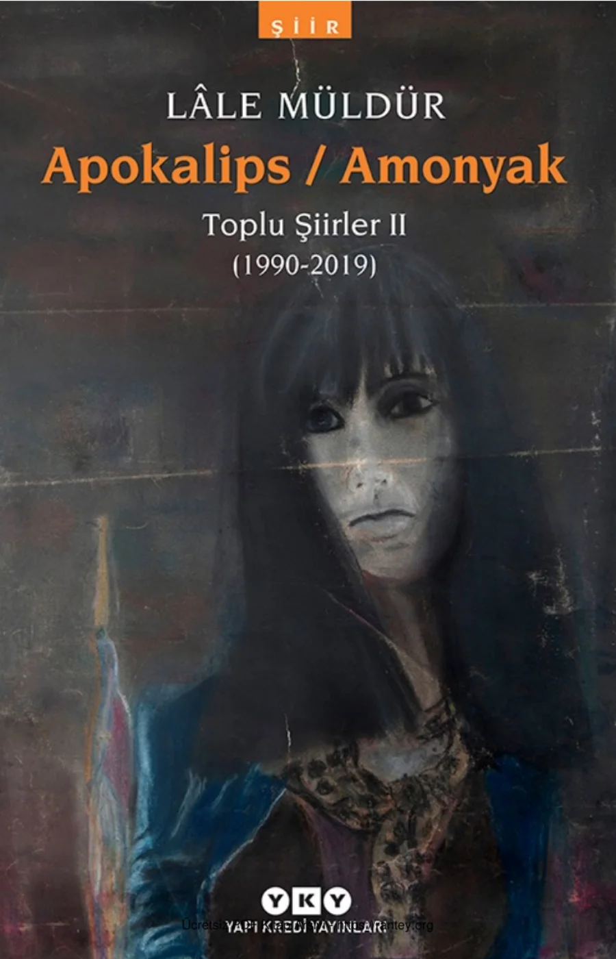 Toplu Şiirler II kapak görseli