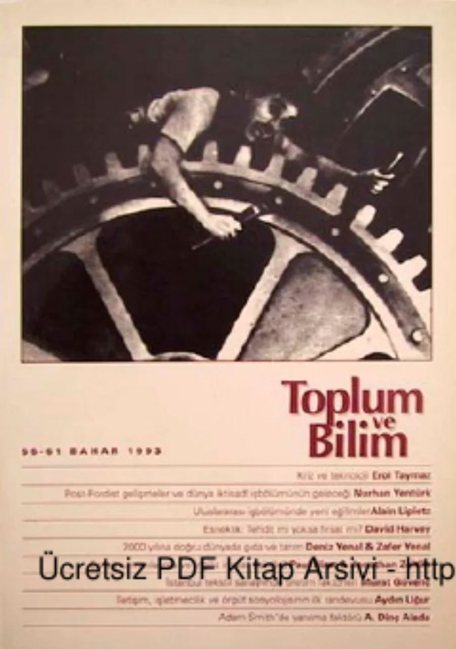Toplum ve Bilim Sayı 056 061 kapak görseli