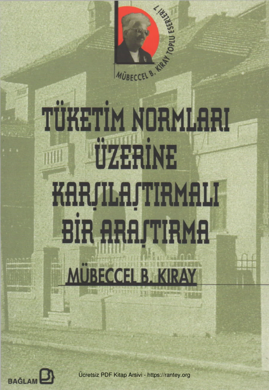 Tüketim Normları Üzerine Karşılaştırmalı Bir Araştırma kapak görseli