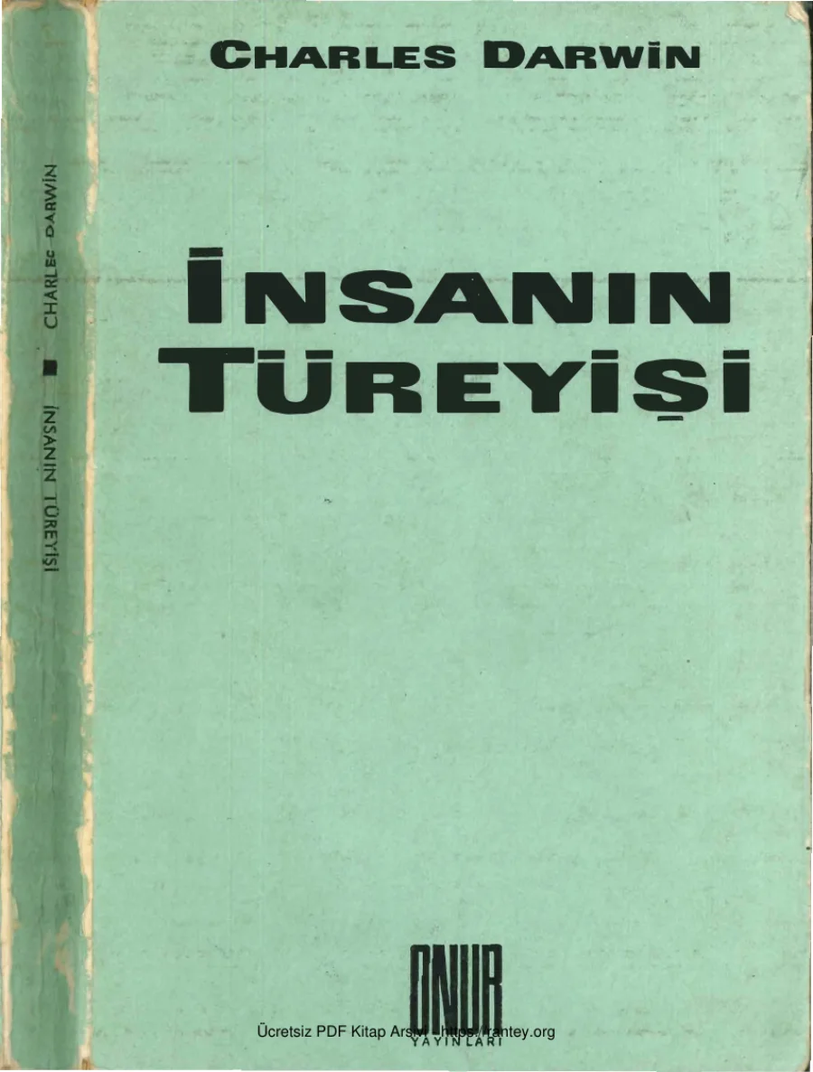 Türeyişi Onur Yayınları kapak görseli