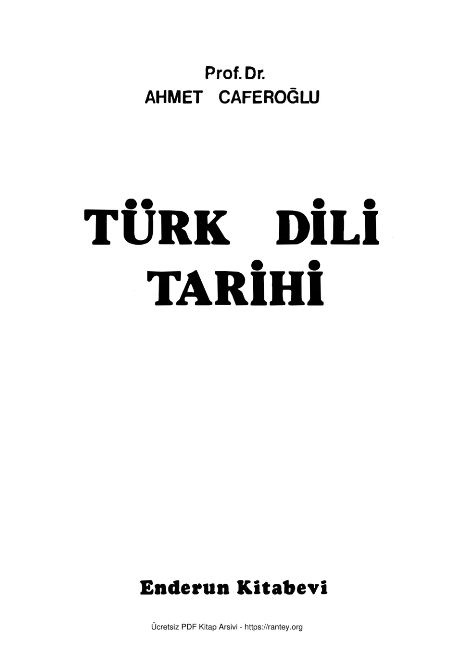 Türk Dili Tarihi Enderun Yayınları kapak görseli