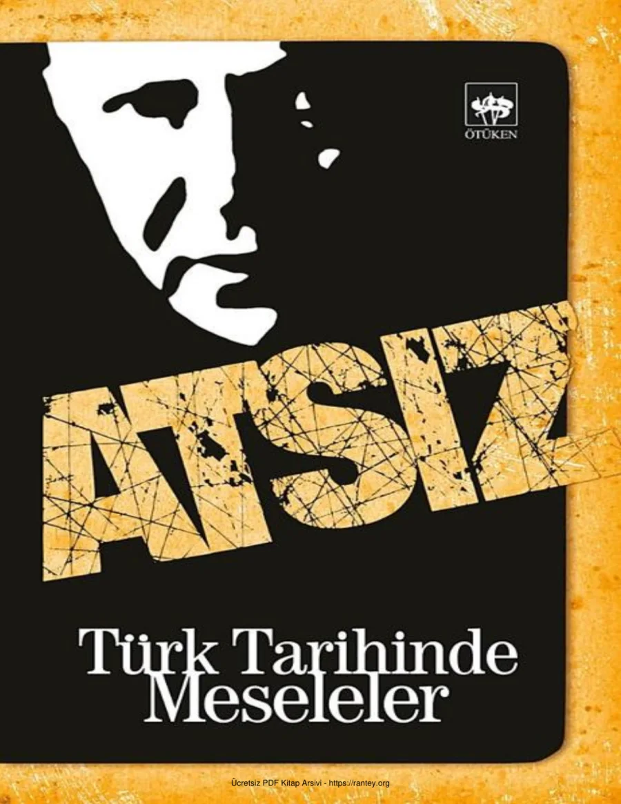 Türk Tarihinde Meseleler kapak görseli