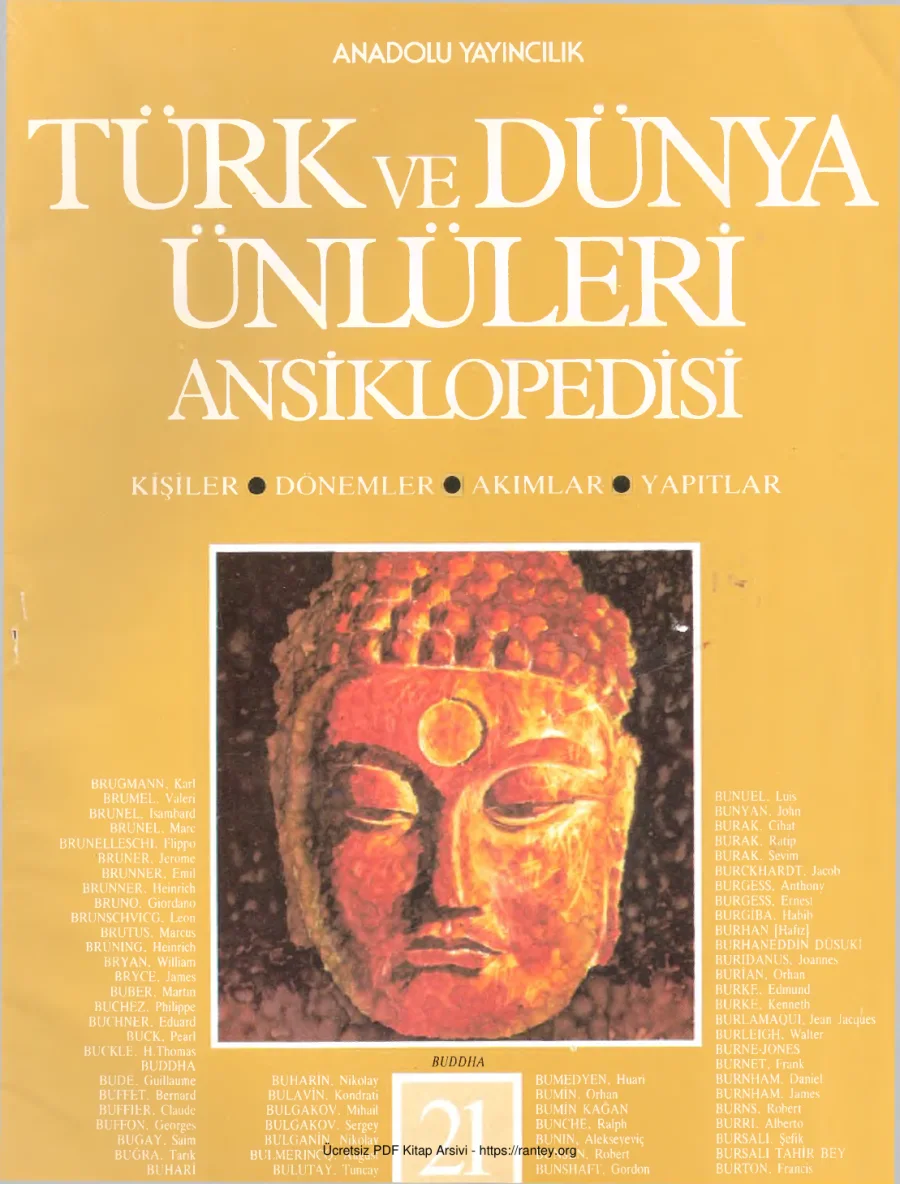 Türk ve Dünya Ünlüleri Ansiklopedisi Cilt 21 kapak görseli