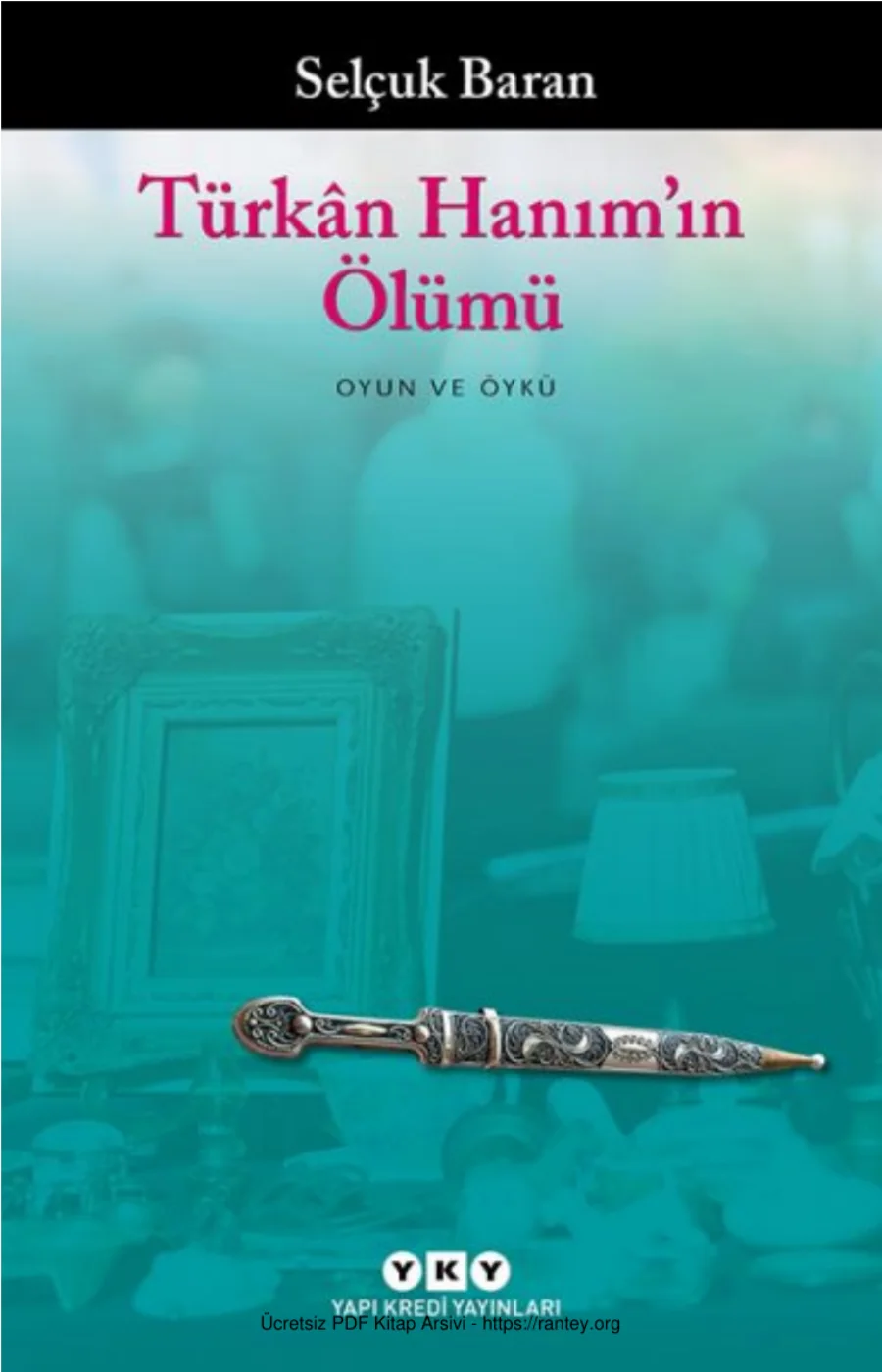 Türkan Hanımın Ölümü kapak görseli