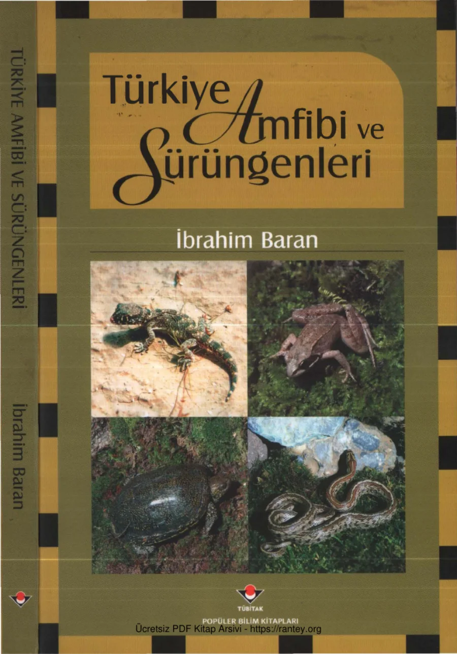 Türkiye Amfibi ve Sürüngenleri kapak görseli