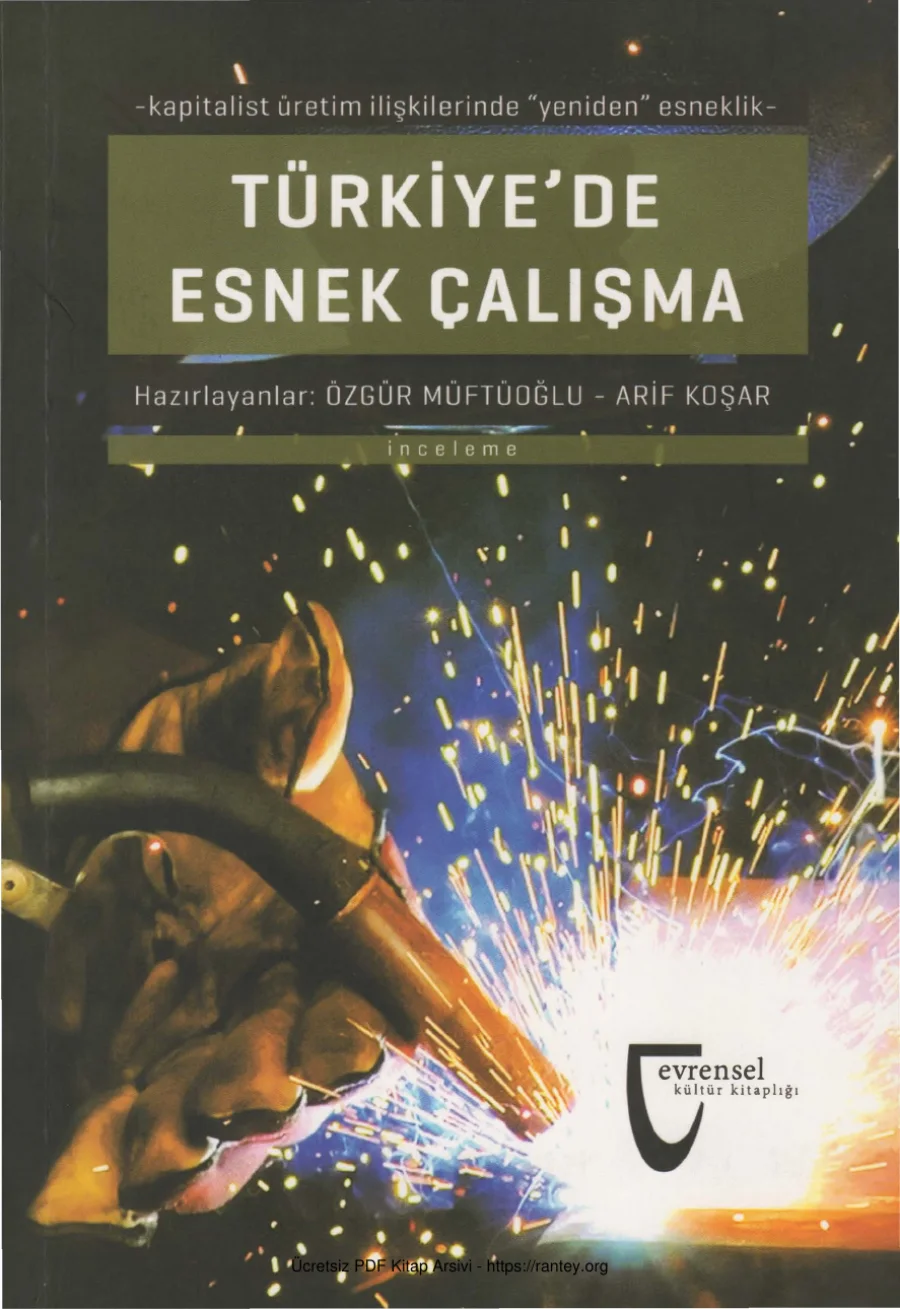 Türkiye'de Esnek Çalışma kapak görseli