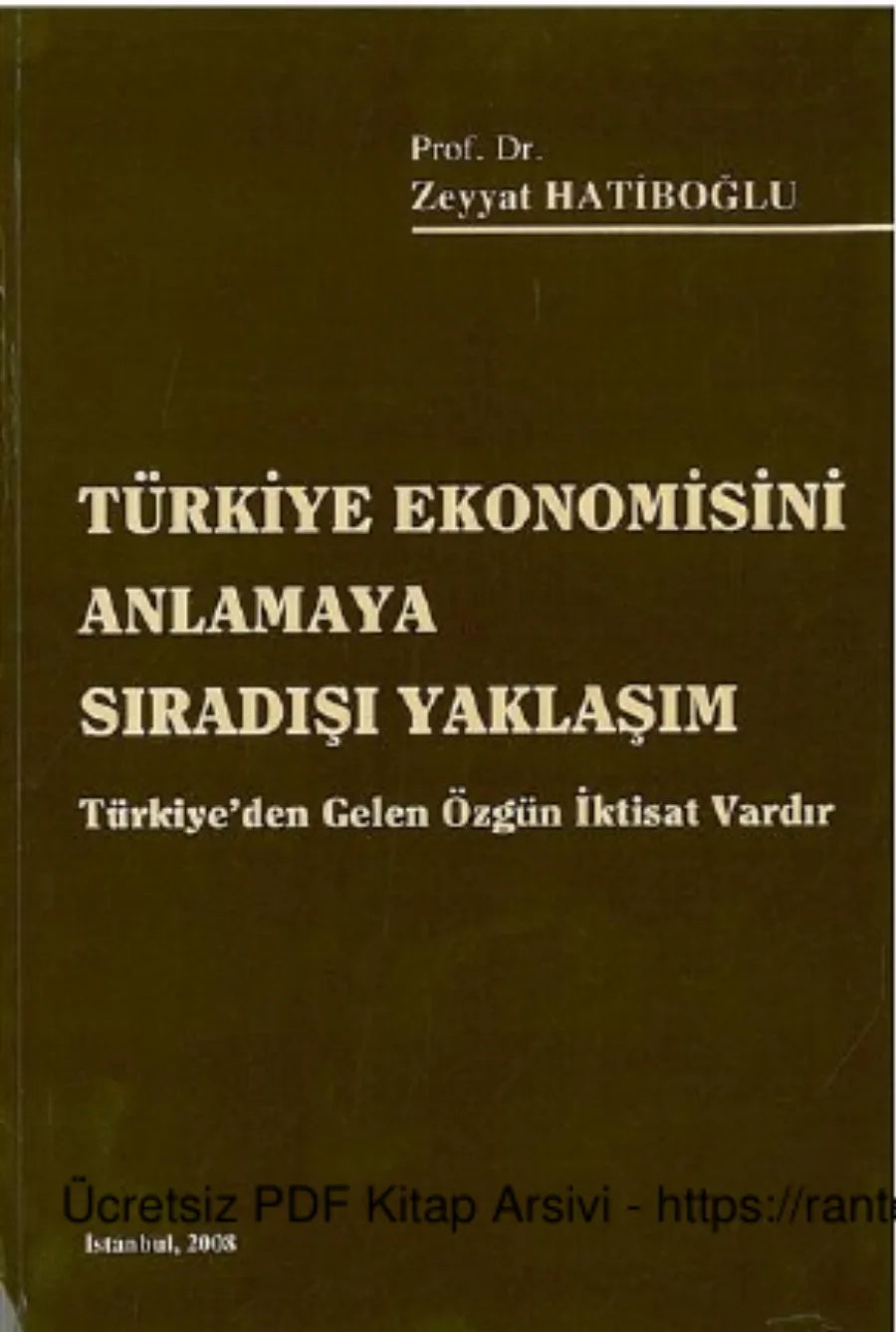 Türkiye Ekonomisini Anlamaya Sıradışı Yaklaşım kapak görseli
