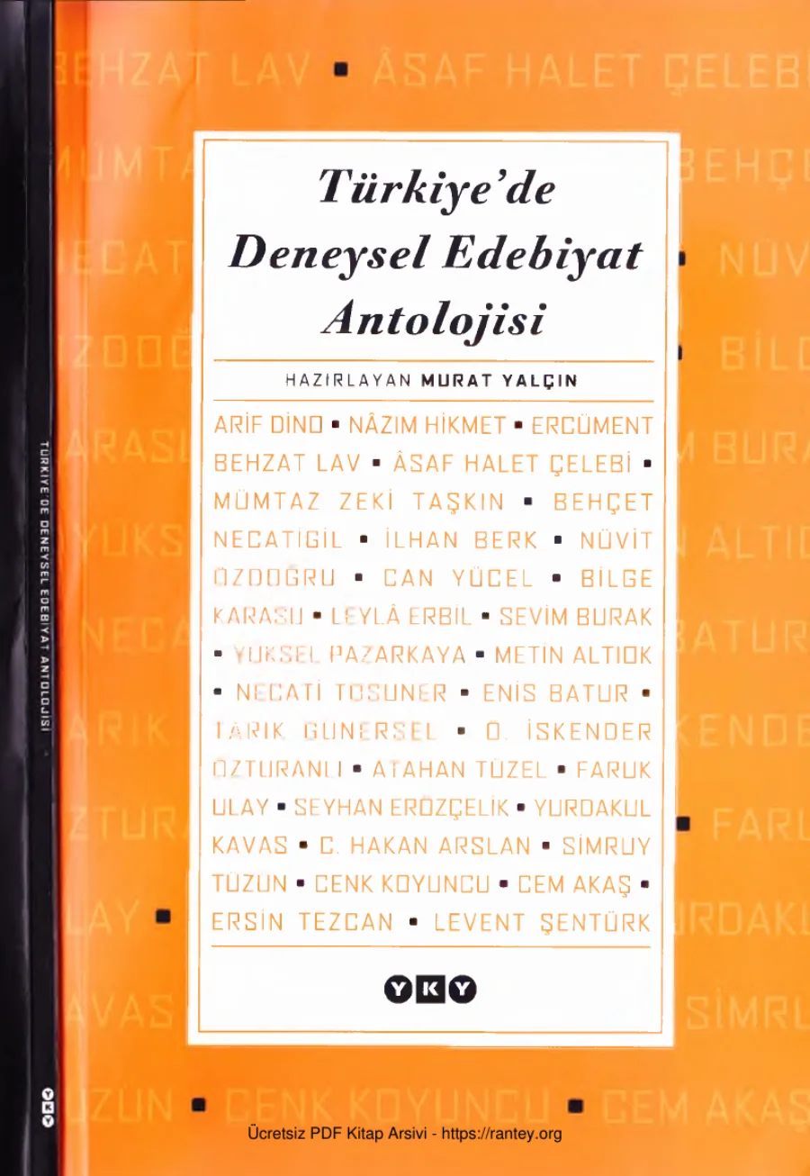 Türkiyede Deneysel Edebiyat Antolojisi kapak görseli
