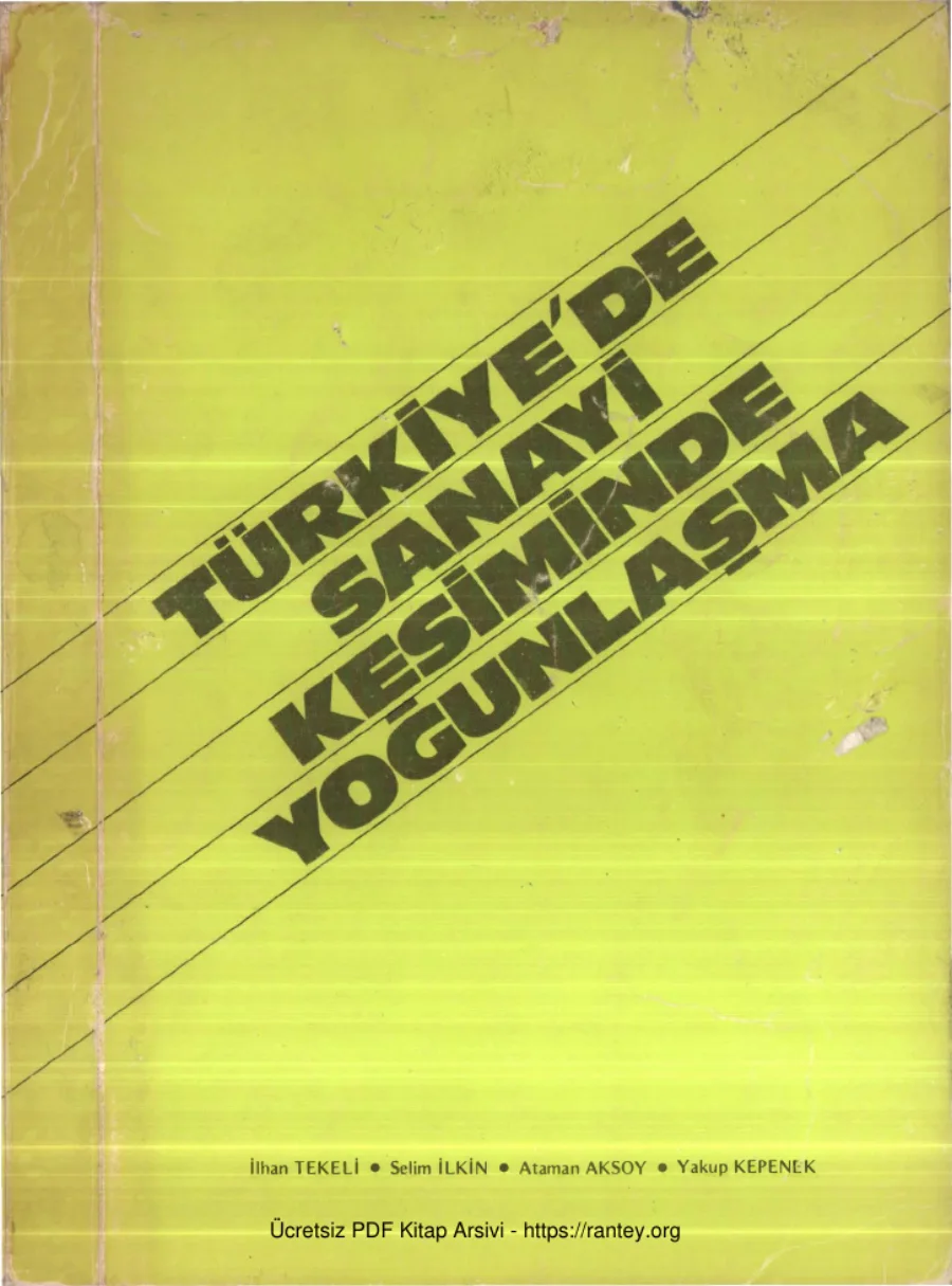 Türkiyede Sanayi Kesiminde Yoğunlaşma kapak görseli