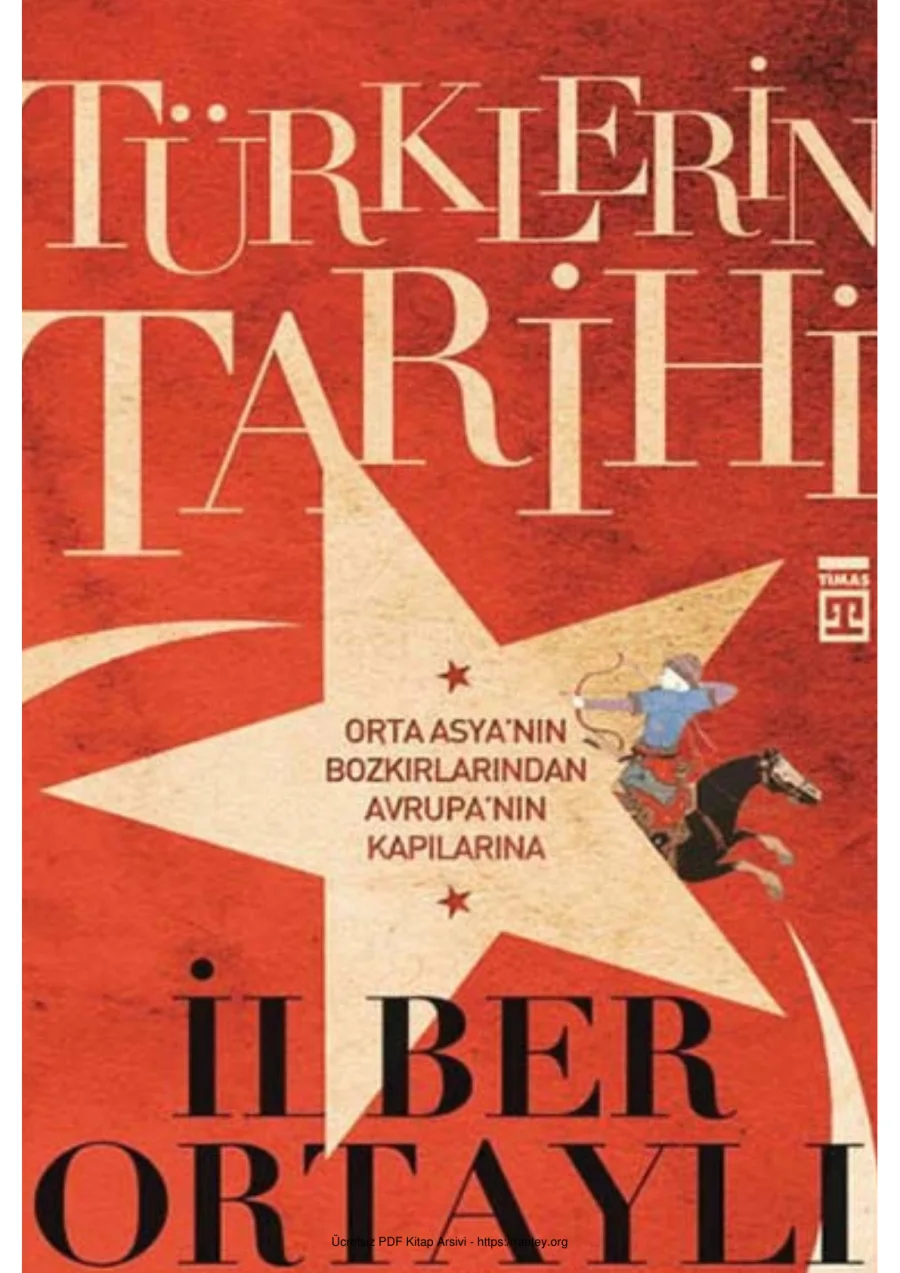 Türklerin Tarihi kapak görseli