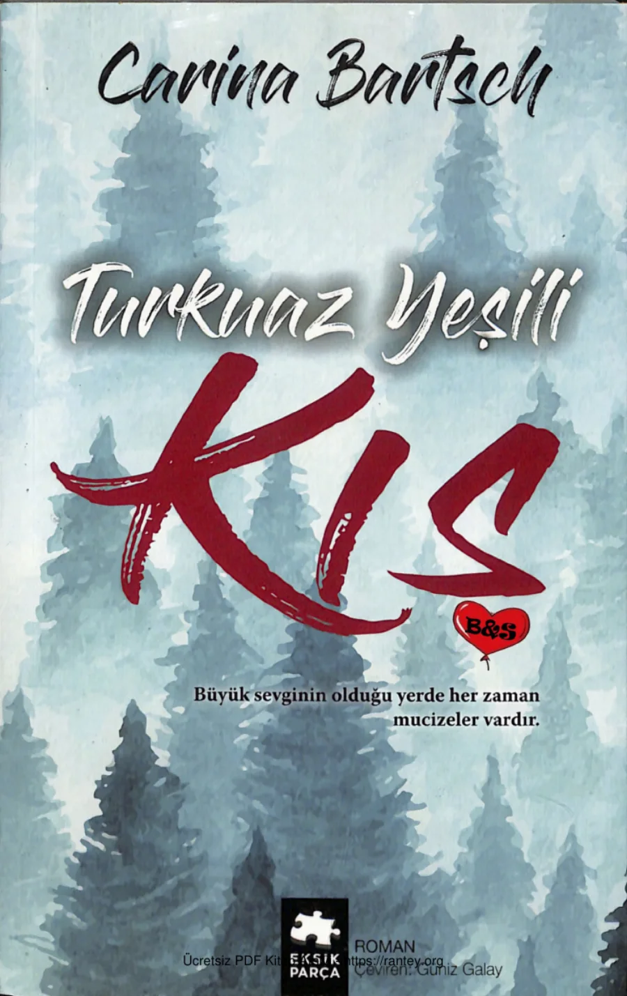 Turkuaz Yeşili Kış kapak görseli