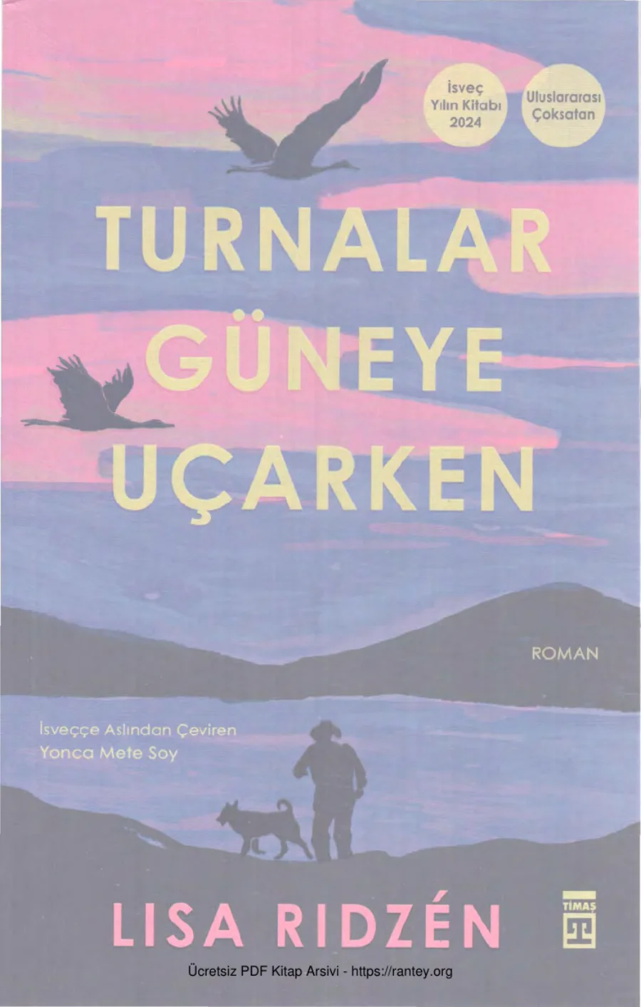 Turnalar Güneye Uçarken kapak görseli