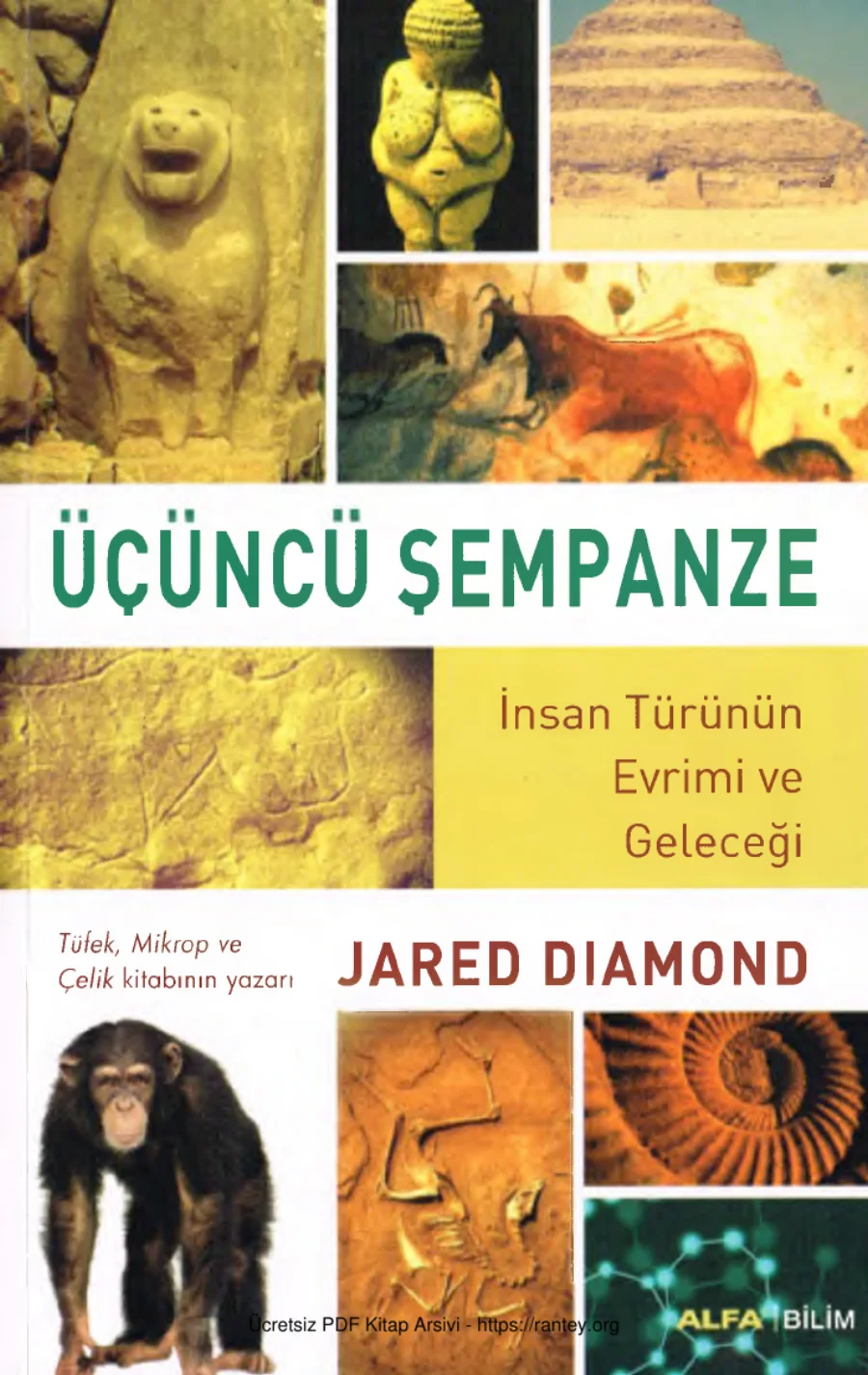 Üçüncü Şempanze kapak görseli