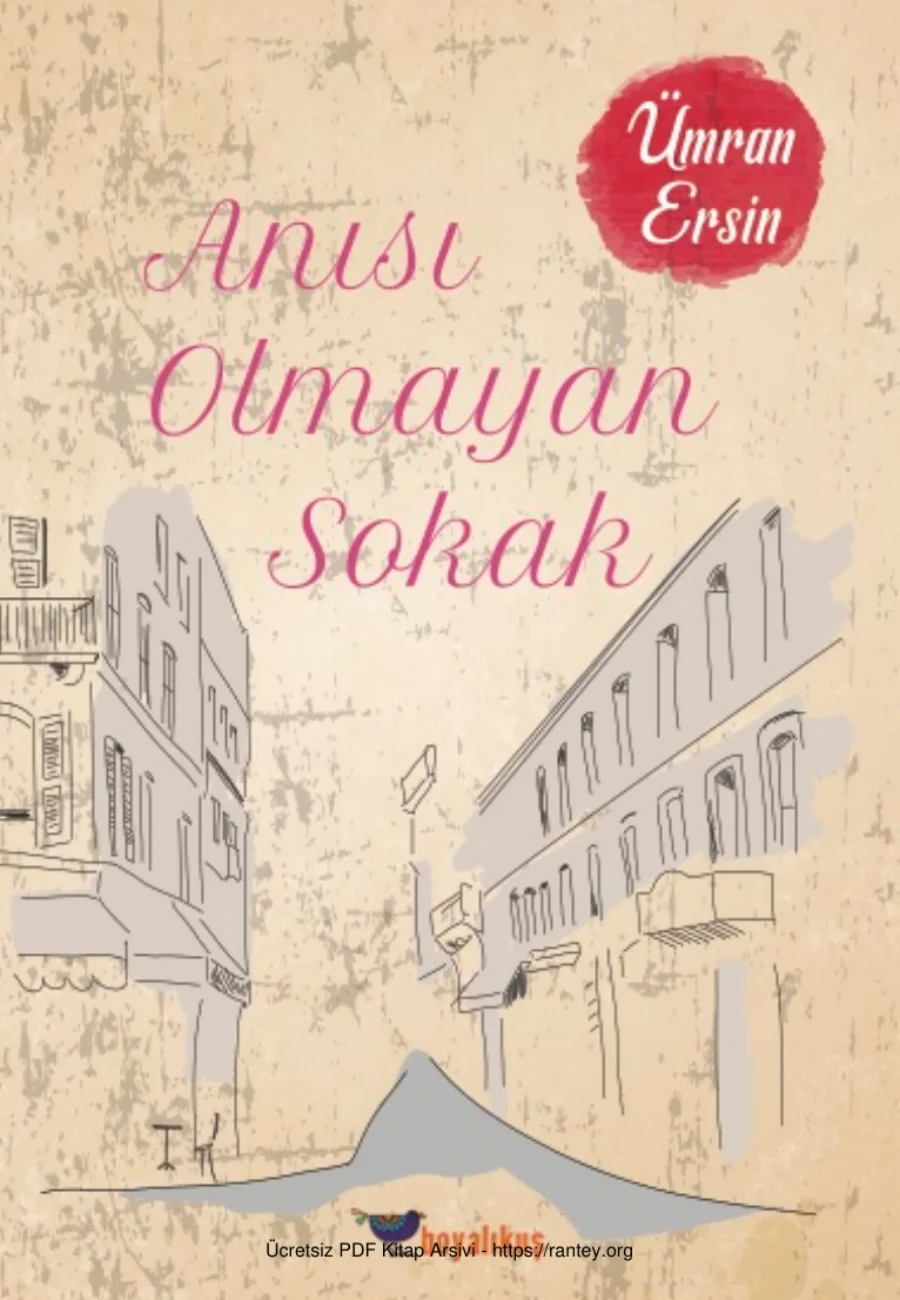 Ümran Ersin Anısı Olmayan Sokak Boyalıkuş Yayınları kapak görseli