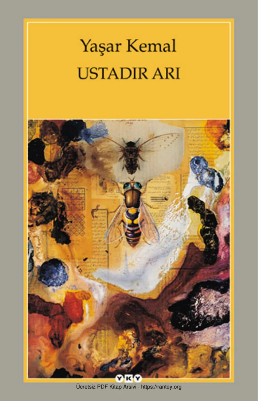 Ustadır Arı kapak görseli