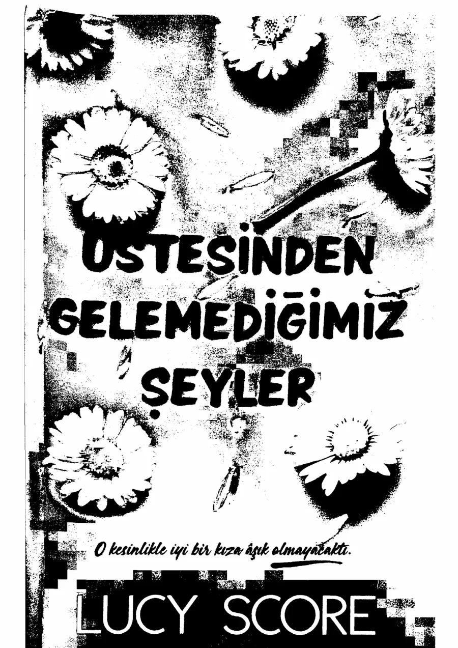 Üstesinden Gelemediğimiz Şeyler kapak görseli