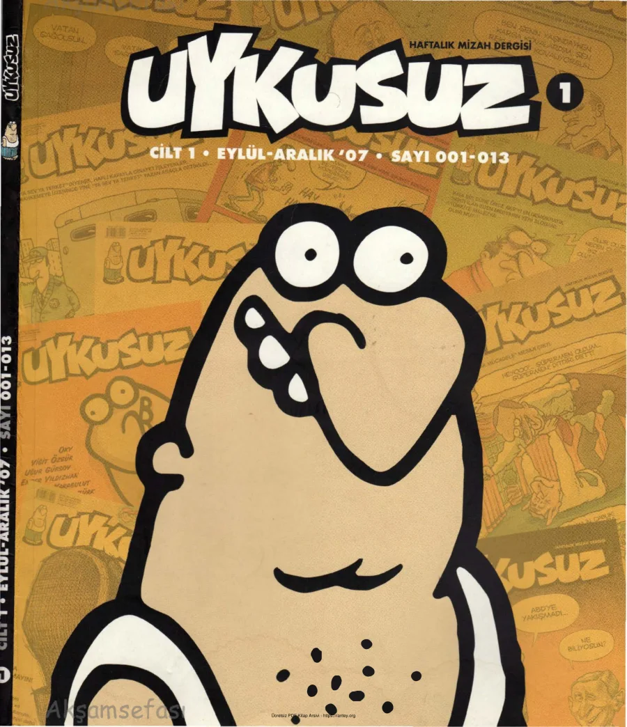 Uykusuz Cilt 01 Sayı 001 013 2007 kapak görseli