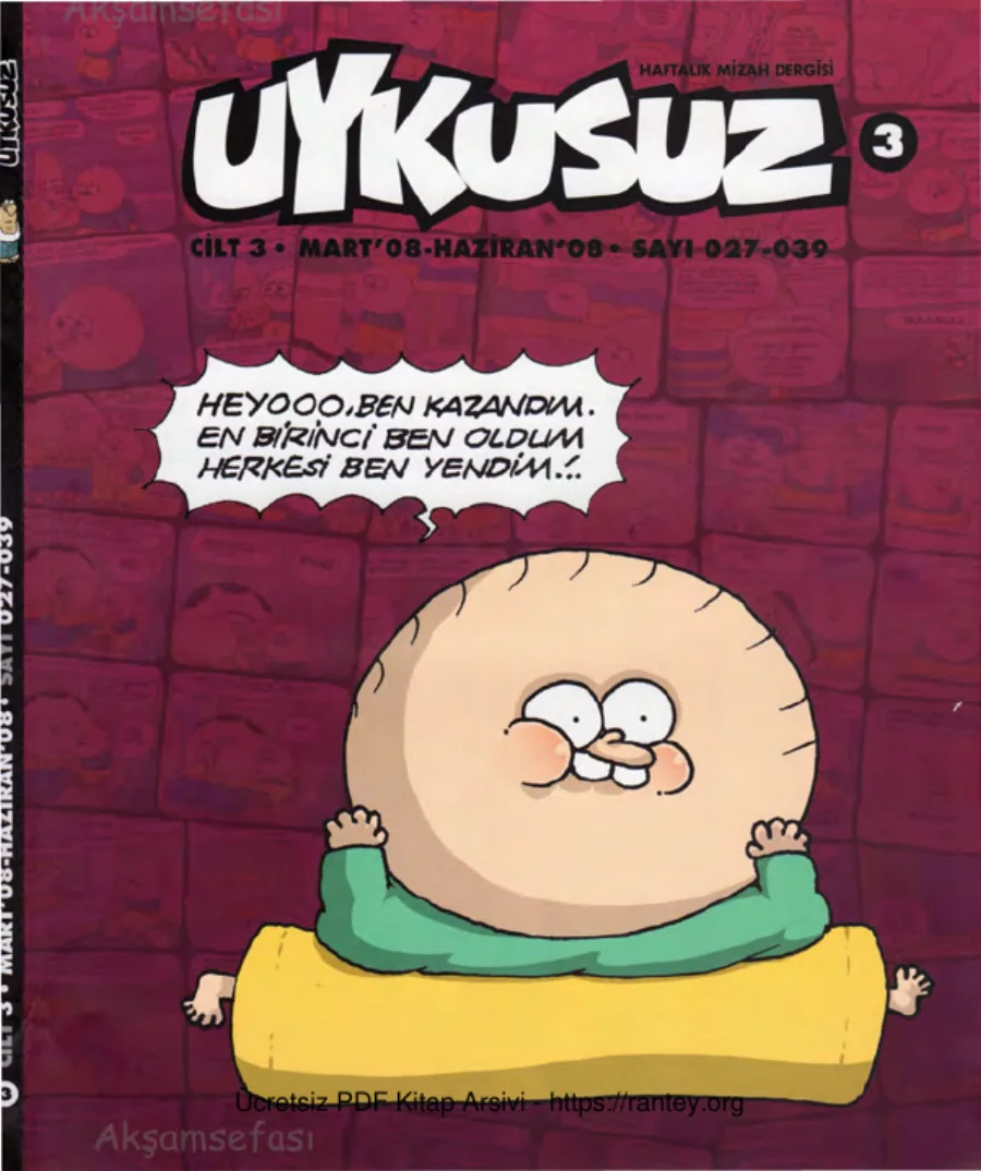 Uykusuz Cilt 03 Sayı 027 039 2008 kapak görseli