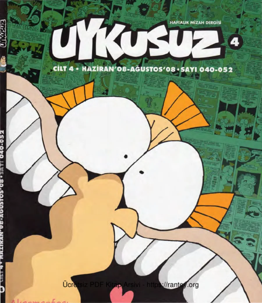 Uykusuz Cilt 04 Sayı 040 052 2008 kapak görseli