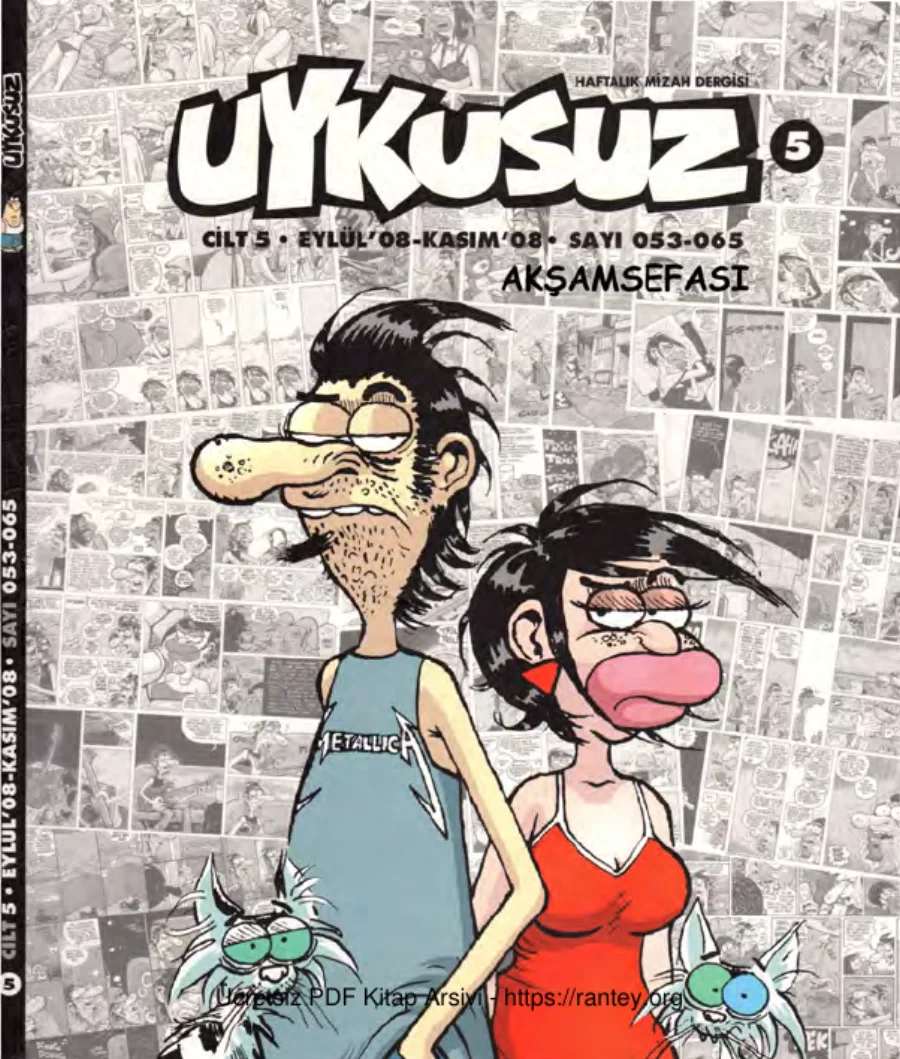 Uykusuz Cilt 05 Sayı 053 065 2008 kapak görseli