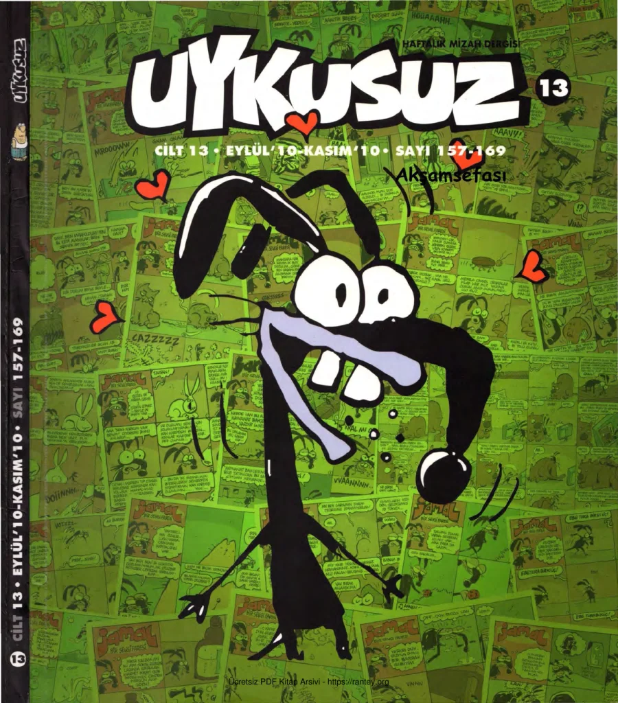 Uykusuz Cilt 13 Sayı 157 169 2010 kapak görseli