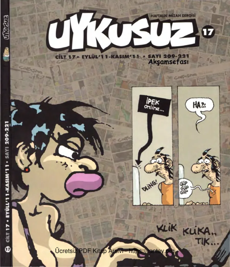 Uykusuz Cilt 17 Sayı 209 221 2011 kapak görseli
