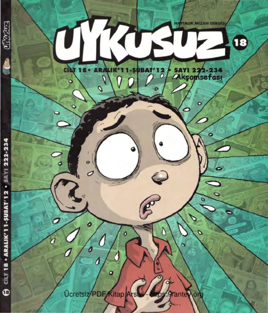 Uykusuz Cilt 18 Sayı 222 234 2011 kapak görseli
