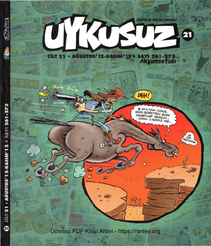 Uykusuz Cilt 21 Sayı 261 273 2012 kapak görseli