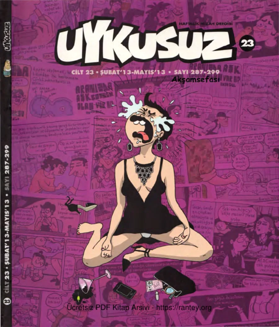 Uykusuz Cilt 23 Sayı 287 299 2013 kapak görseli
