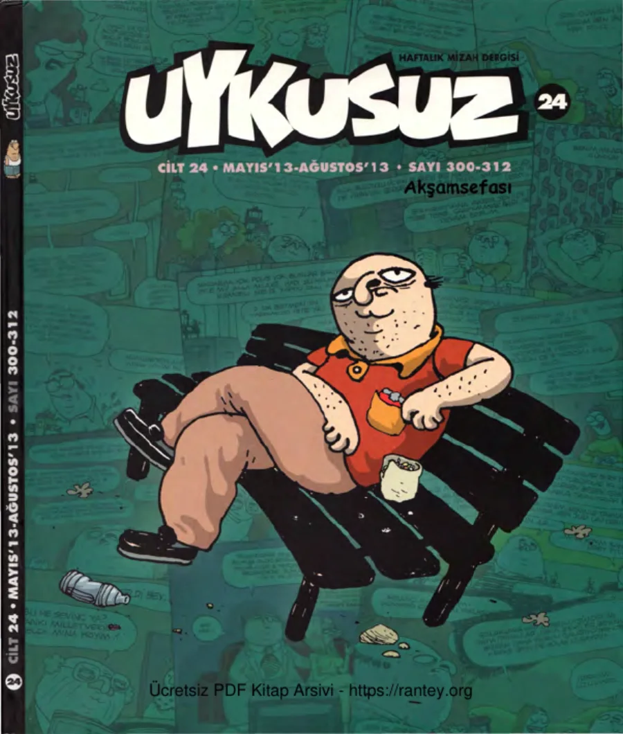 Uykusuz Cilt 24 Sayı 300 312 2013 kapak görseli