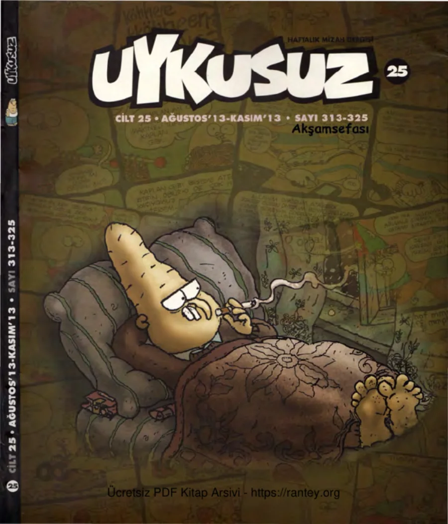 Uykusuz Cilt 25 Sayı 313 325 2013 kapak görseli