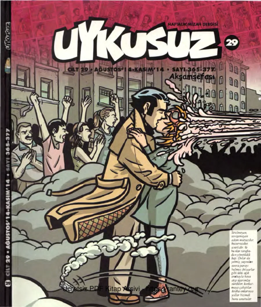 Uykusuz Cilt 29 Sayı 365 377 2014 kapak görseli