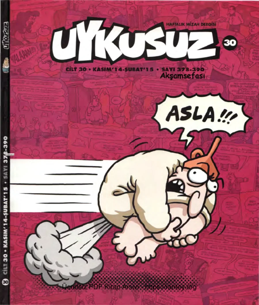 Uykusuz Cilt 30 Sayı 378 390 2014 kapak görseli