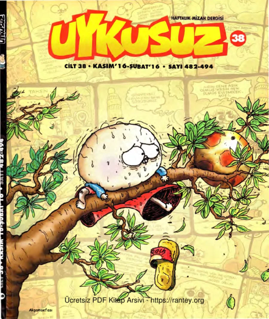 Uykusuz Cilt 38 Sayı 482 494 2016 kapak görseli