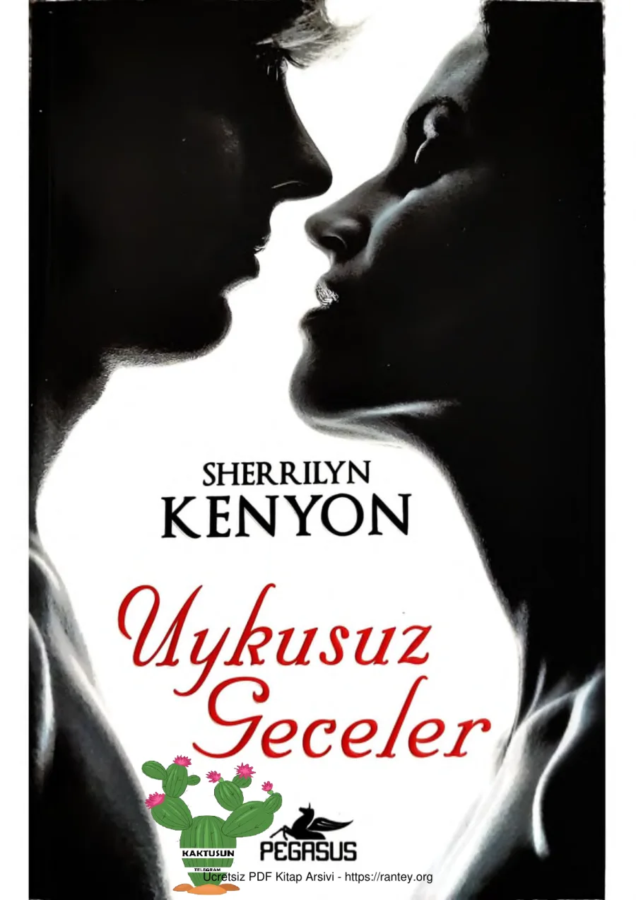 Uykusuz Geceler kapak görseli