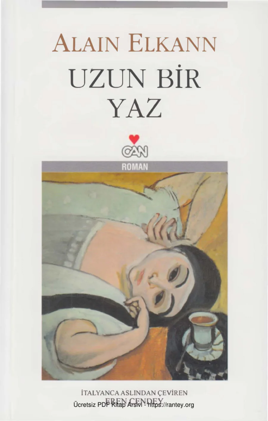 Uzun Bir Yaz kapak görseli