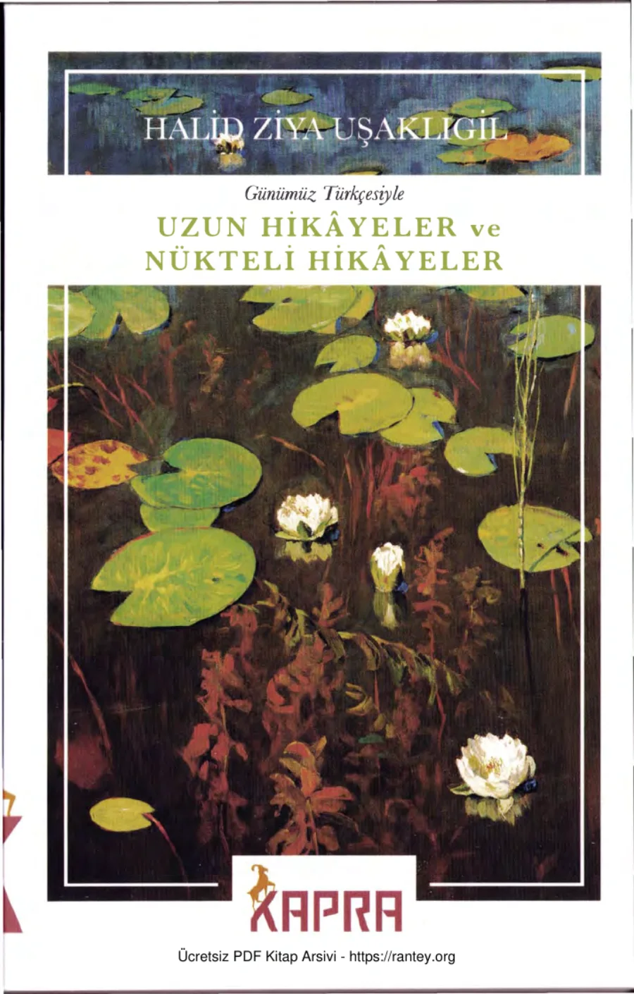 Uzun Hikayeler ve Nukteli Hikayeler Kapra Yayınları kapak görseli