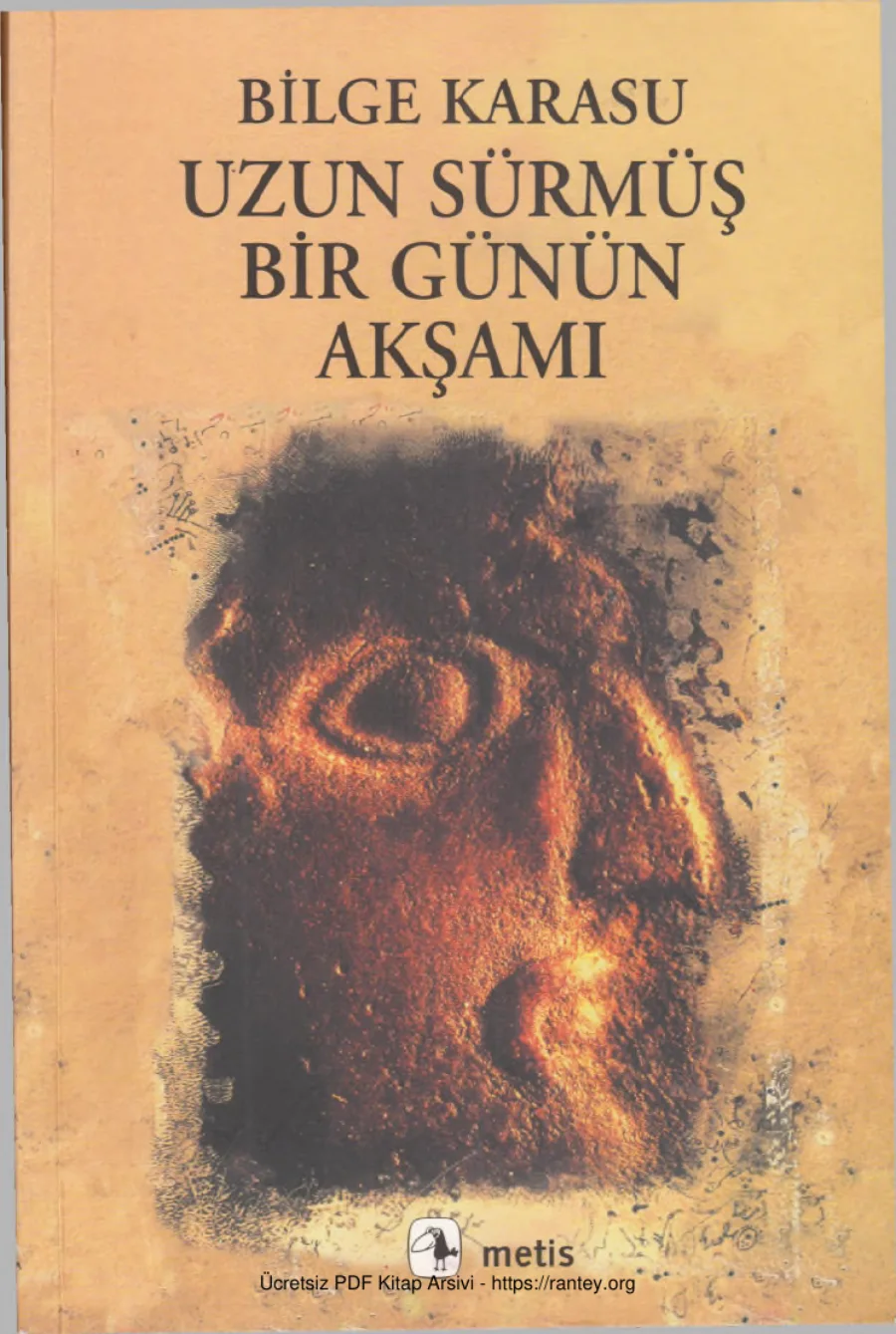 Uzun Sürmüş Bir Günün Akşamı Metis Yayınları kapak görseli