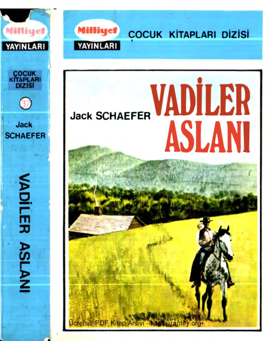 Vadiler Aslanı Milliyet Yayınları kapak görseli