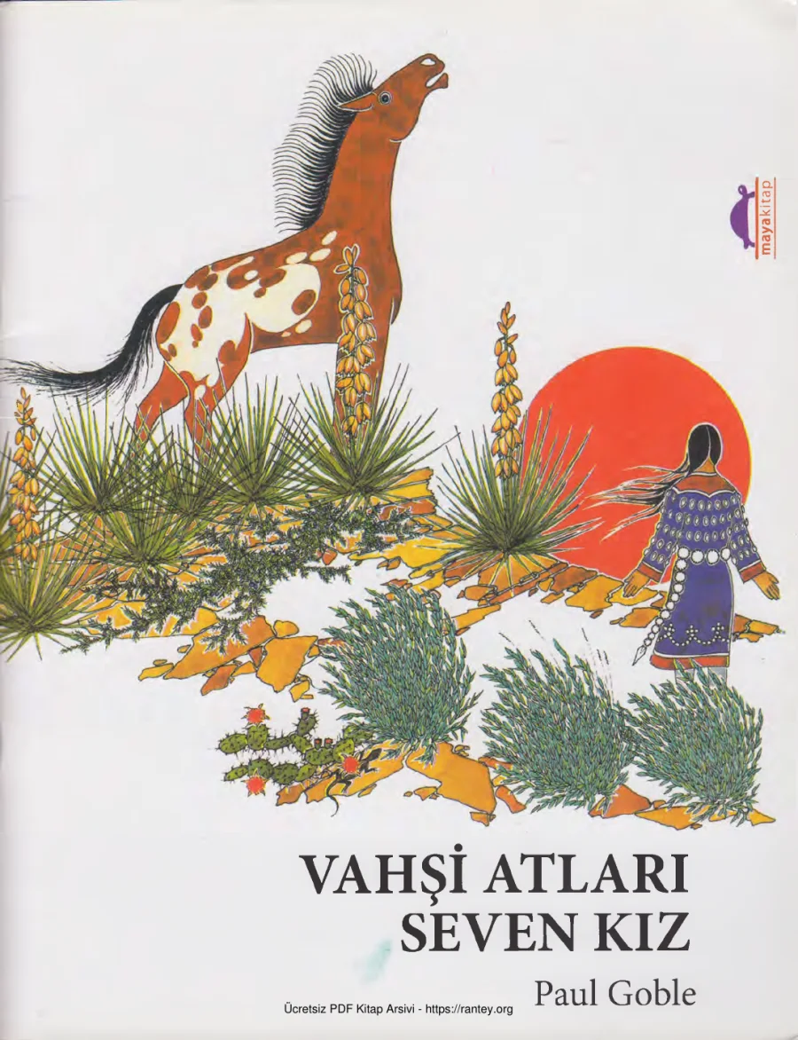 Vahsi Atları Seven Kız Maya Yayınları kapak görseli