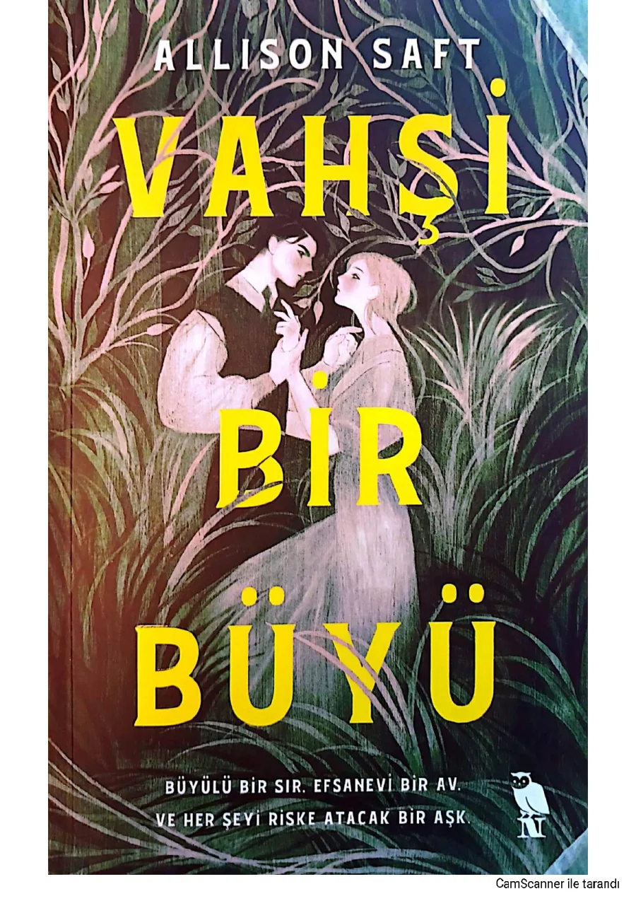 Vahşi Bir Büyü kapak görseli
