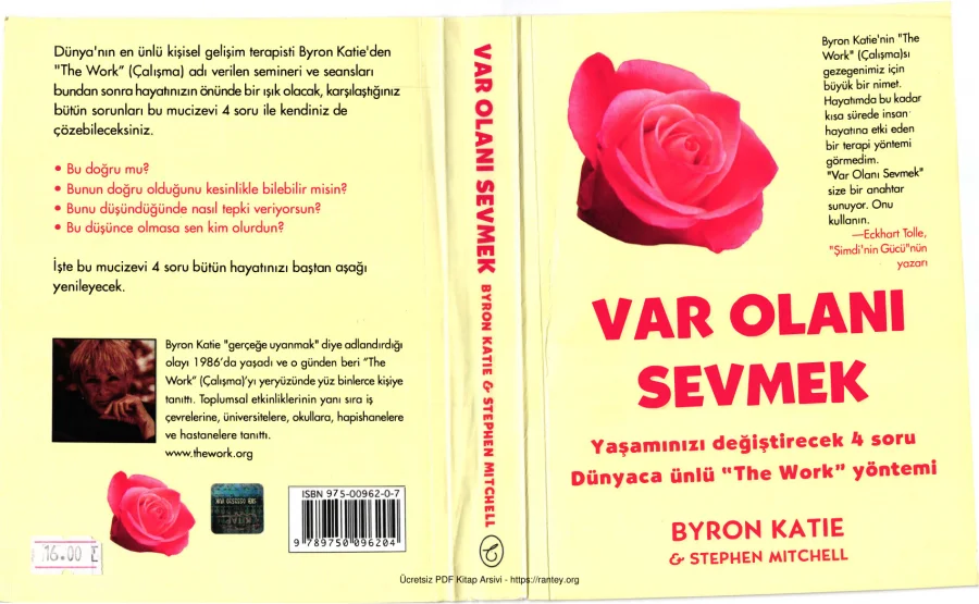 Var Olanı Sevmek Butik Yayınları kapak görseli
