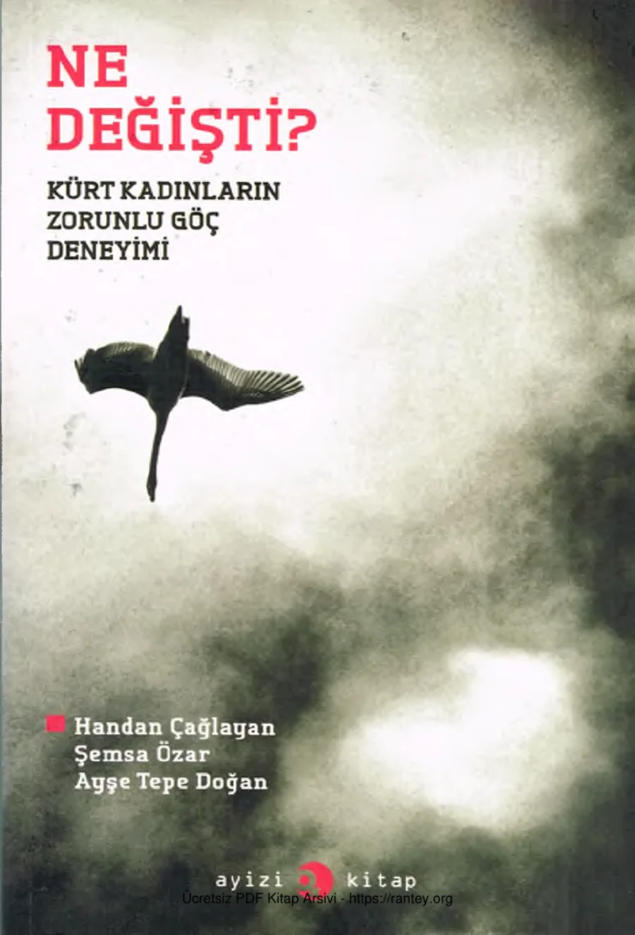 Ne Değişti Kürt Kadınların Zorunlu Göç Deneyimi Ayizi Kitap kapak görseli
