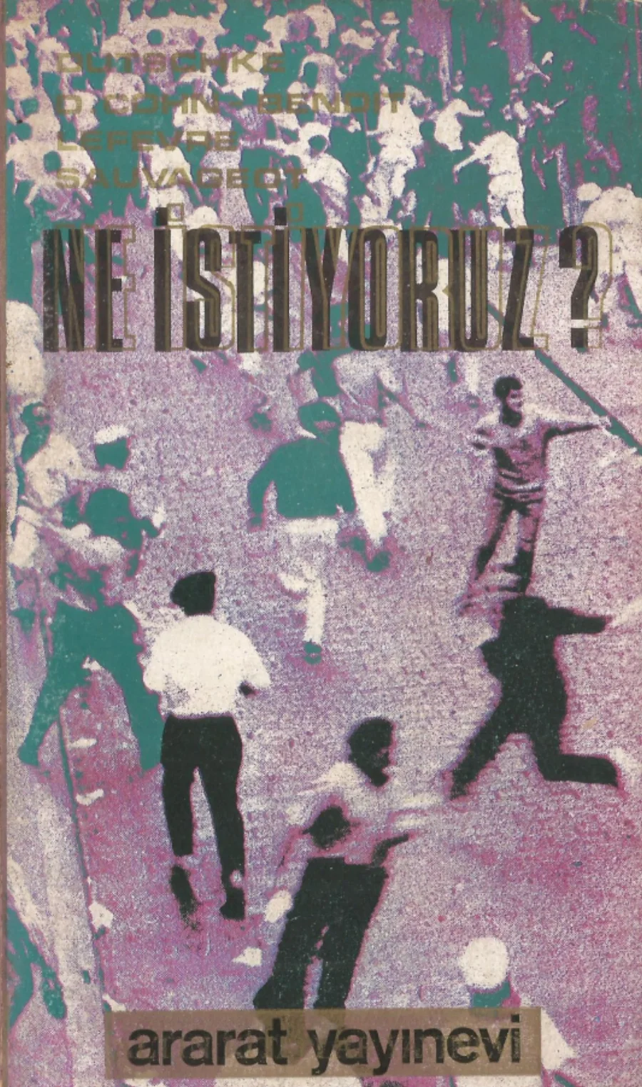 Ne İstiyoruz kitap kapağı