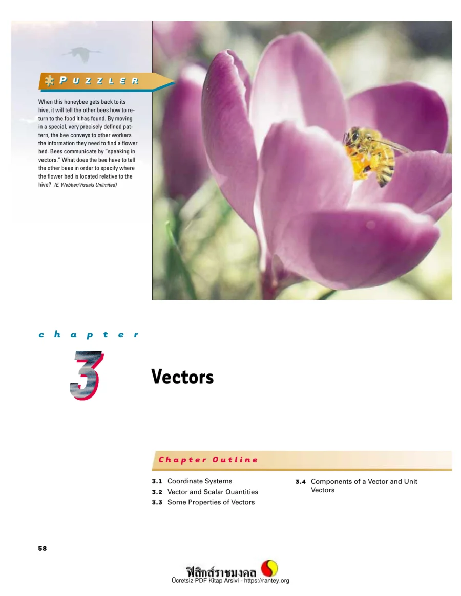 Vectors kapak görseli
