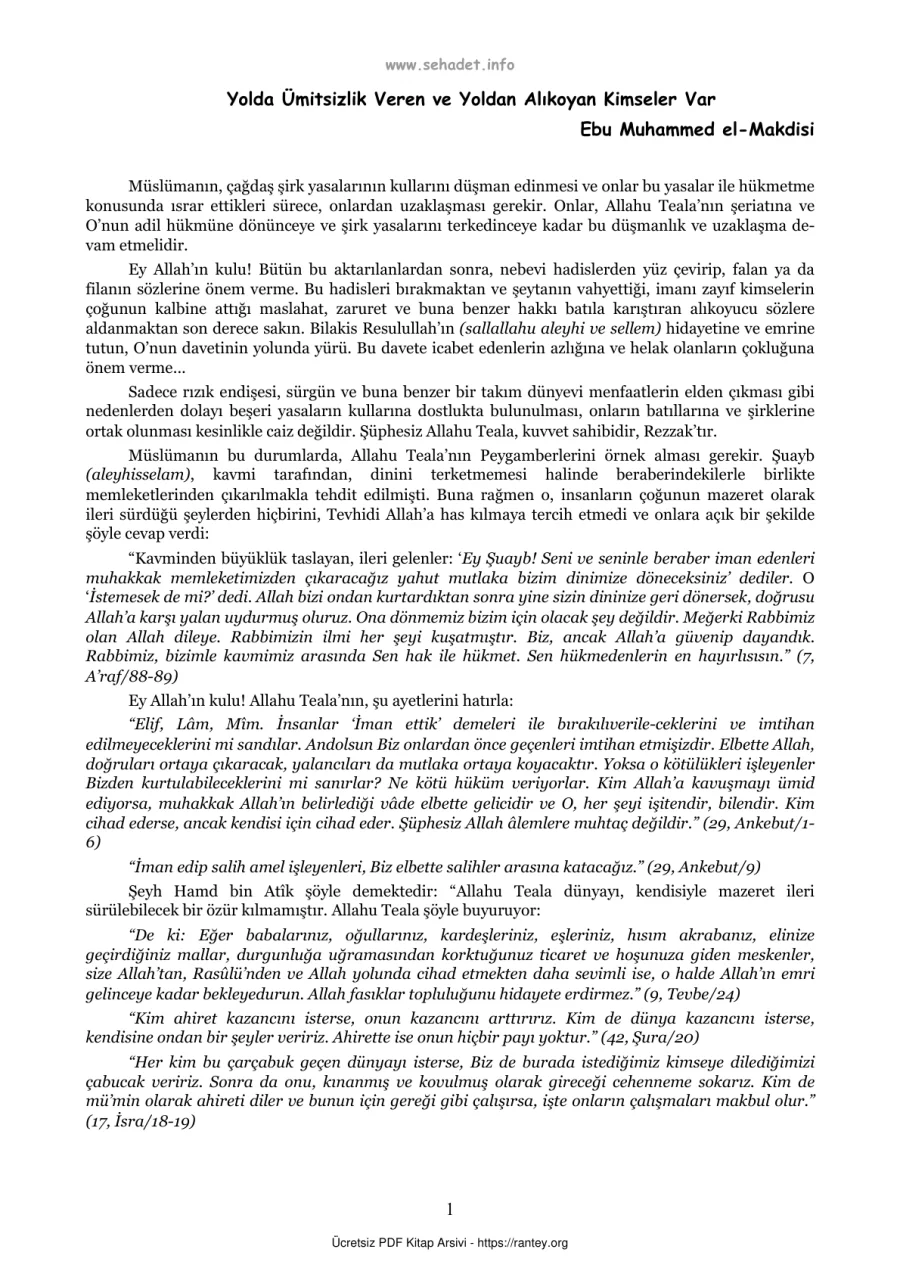 Veren ve Yoldan Alıkoyan Ebu Muhammed el Makdisi Ebu Abdulmumin Tekin Mıhçı kapak görseli