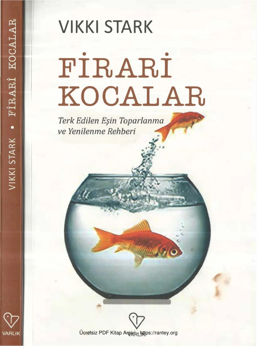 Vikki Stark Firari Kocalar kapak görseli