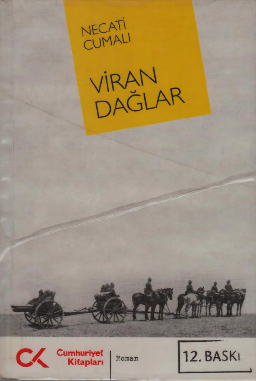 Viran Dağlar kapak görseli